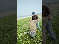 たんぽぽが儲かる理由#shorts