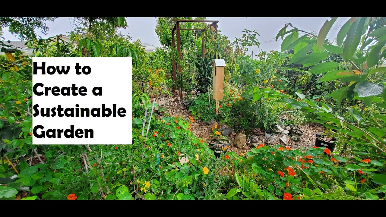 How To Create A Sustainable Garden - YouTube