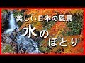 美しい日本の風景シリーズ　水のほとり