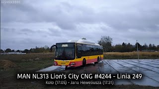Linia 249 | MAN NL313 Lion's City CNG #4244 - MZA Warszawa