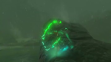 [DAY 505] of finding one korok seed in TotK everyday until we get them all