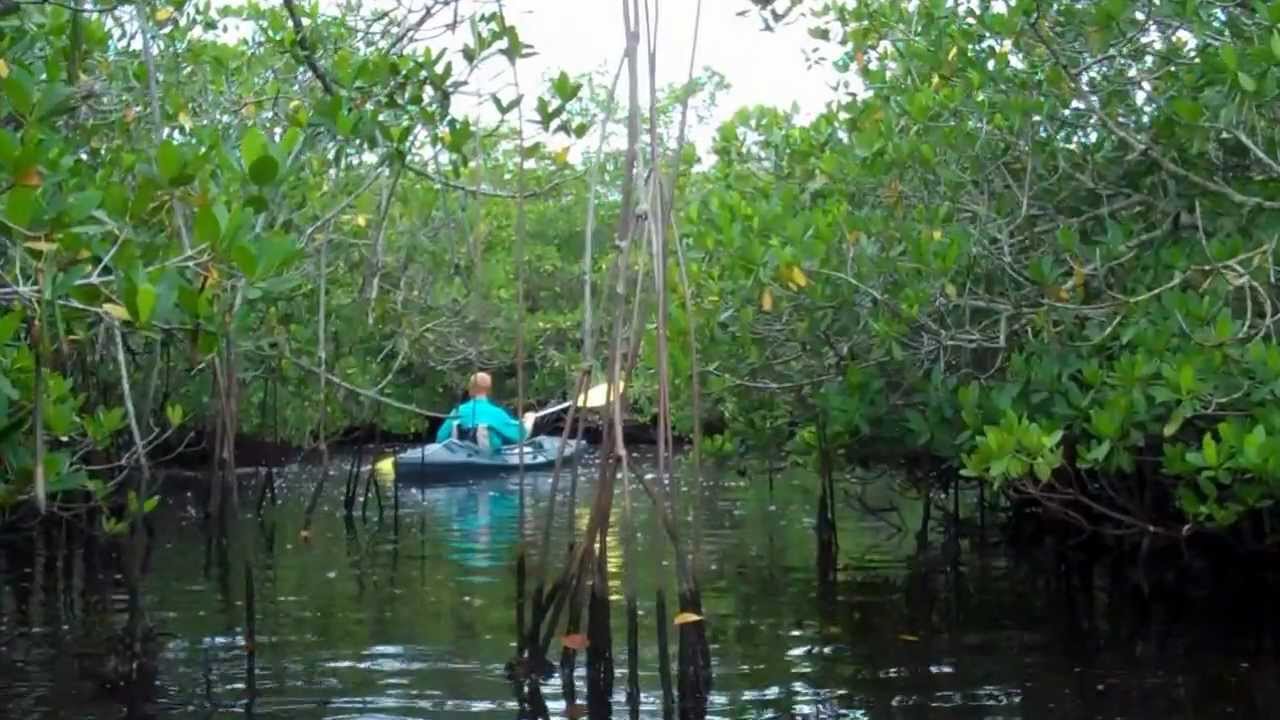 Kayaking With Gulf Coast Kayak | Matlacha Florida