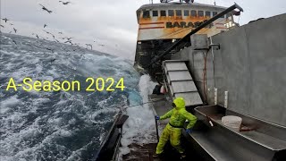 Baranof Slaying Cod 2024