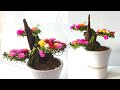 Bonsai mini từ hoa mười giờ mẫu mới độc đáo