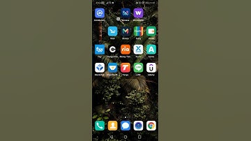 How to use Privacy Mode on Monese? - Monese Tips