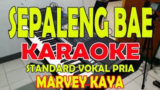 PALENG BAE [MARVEY KAYA] KARAOKE VOKAL COWO