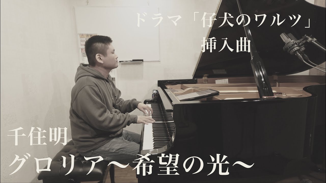 子犬 の ワルツ ドラマ 日本テレビ同局50周年記念番組 仔犬のワルツ 