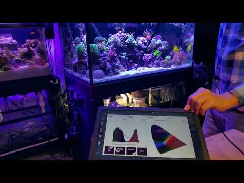 Seneye Reef Monitor Unbox, Setup and First Impressions