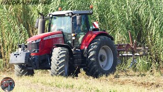 *NEW* MASSEY FERGUSON 7726S + Ripuntatore GHEZZI 7 corpi | GIANLUCA & MF 7726S | RIPUNTATURA 2021