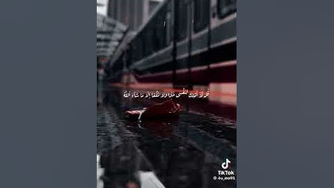 إن الله لا يظلم الناس شيئا ولكن الناس أنفسهم يظلمون قراءة خاشعة من سورة يونس