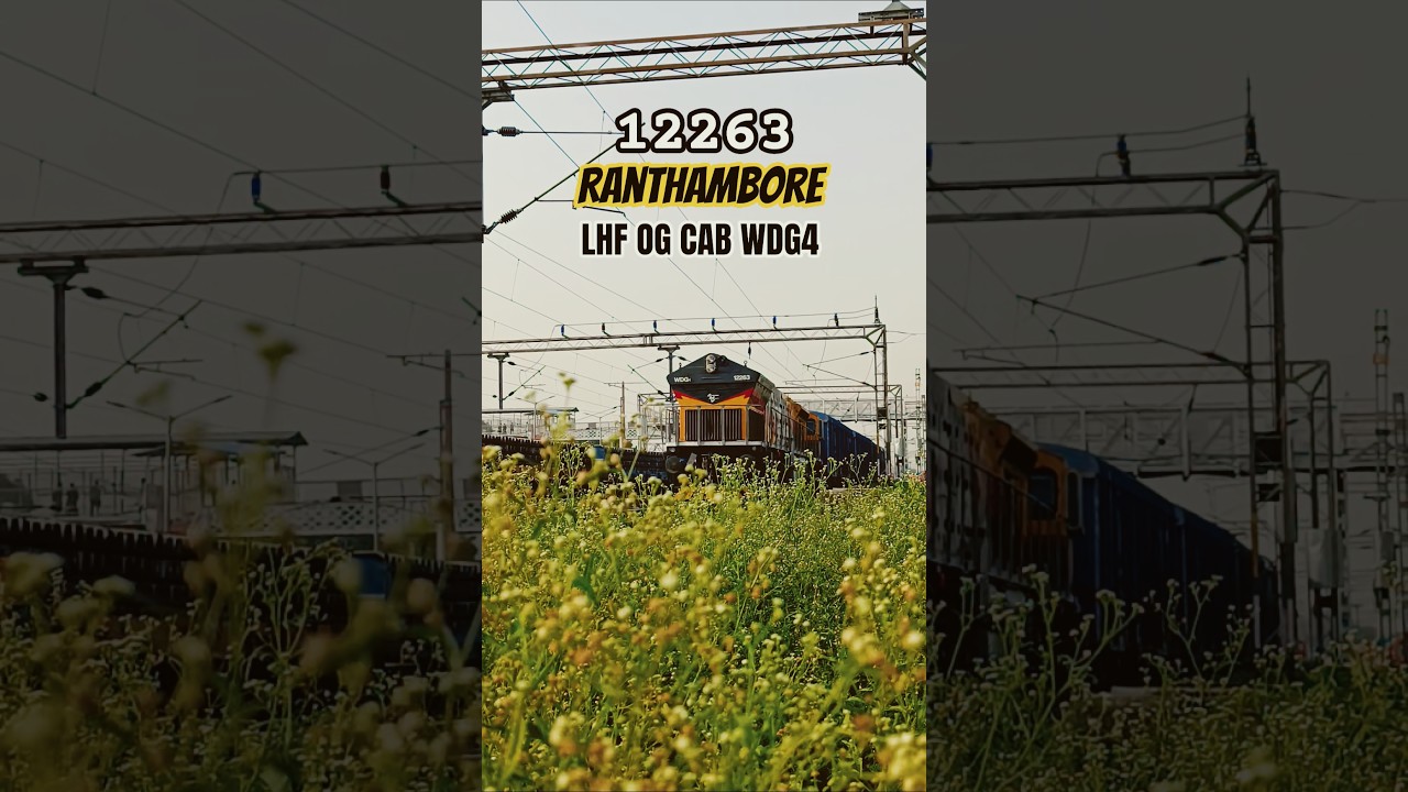 Beautiful "Ranthambore" LHF Diesel monster 💀 in new avtar #12263 WDG4 LHF standing #shorts  #viral