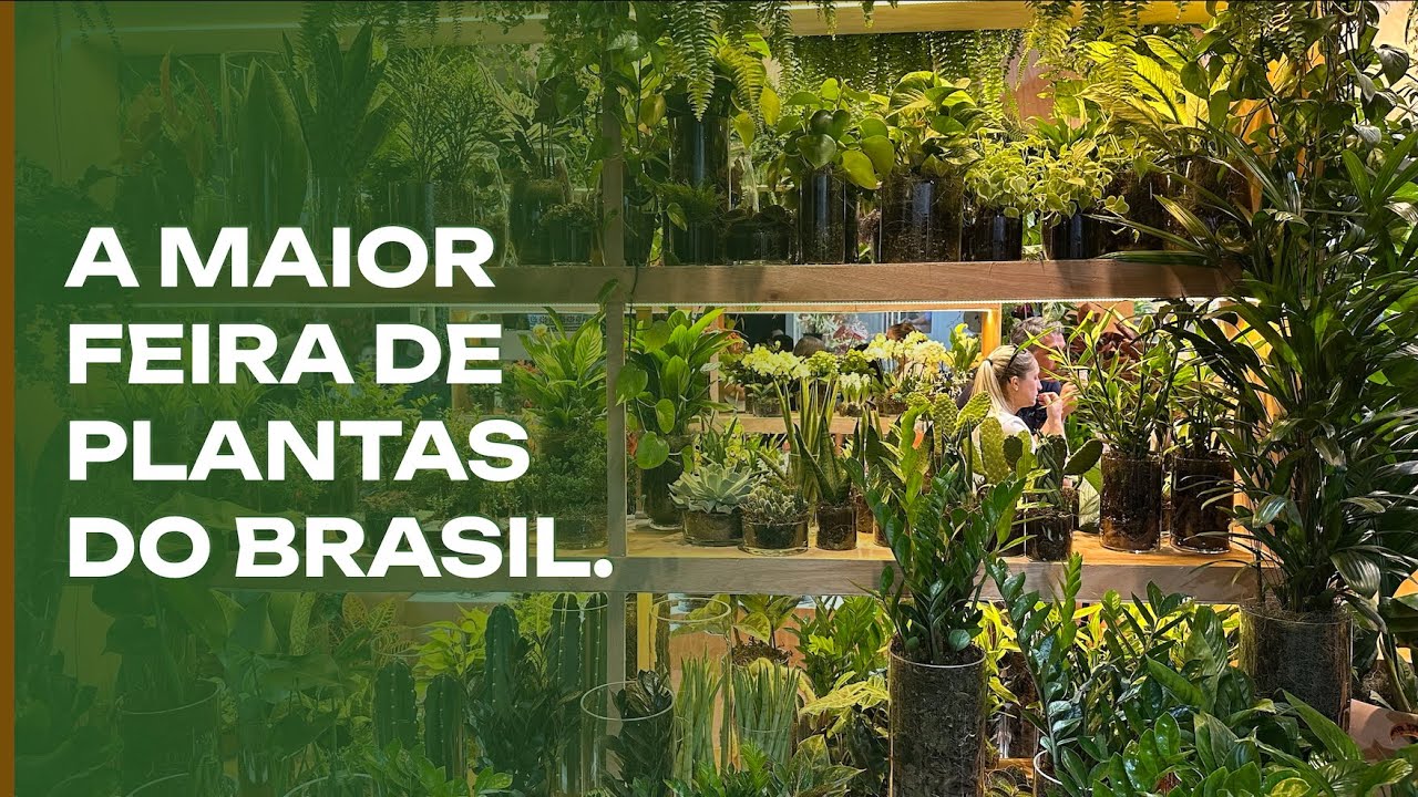 КРУПНЕЙШАЯ выставка растений в Латинской Америке: всё об ENFLOR.