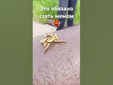 #актив - YouTube