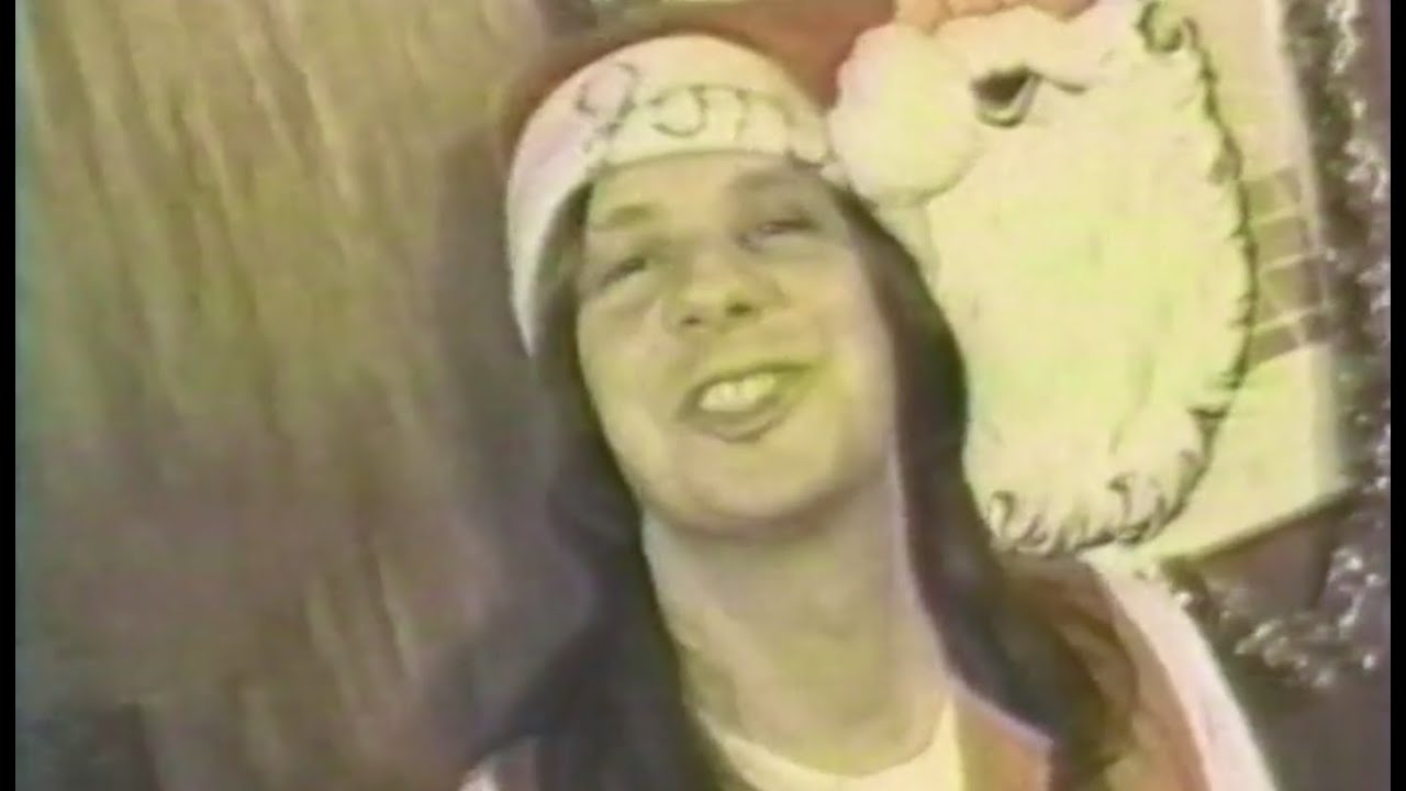 Pansy Division - "Homo Christmas" (on Lavender Lounge)