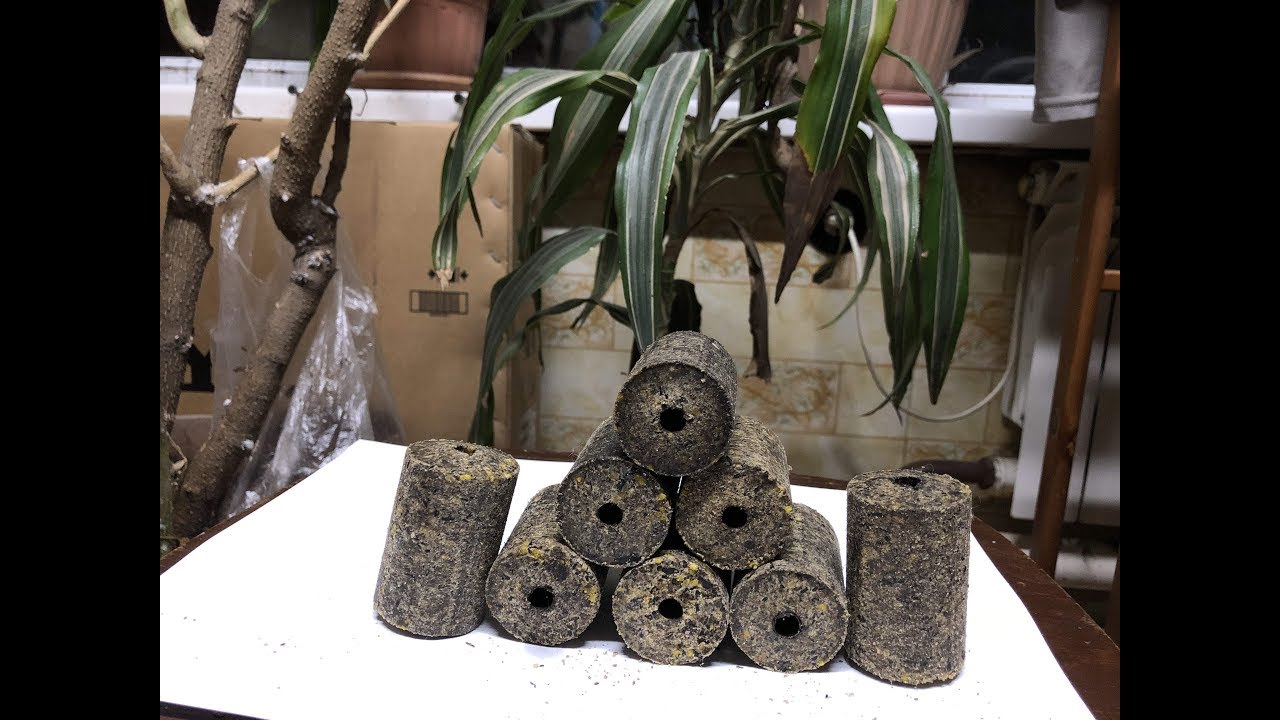 Мои каны и технопланктон, изготовление. Эволюция пресса для технопланктона.