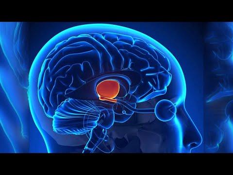 ОМОЛОЖЕНИЕ ГИПОТАЛАМУСА ● Медитация омоложения, красоты и здоровья