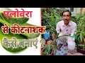 ऐलोवेरा से पेस्टिसाइड या कीटनाशक दवा कैसे बनाएं ! Aloe vera pesticide preparation