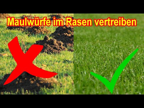 Video: So verwenden Sie gemahlenen Kaffee für Ihren Garten – wikiHow