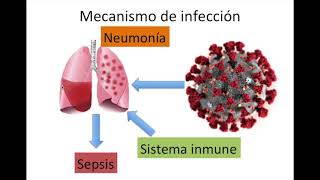 Protegiendo del Covid a los pacientes con Lupus y otras enfermedades autoinmunes