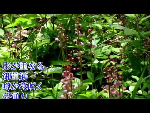 林秀綾    大阪すずめ    [47]
