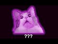 15 Cat "Meow" Sound Variations in 30 Seconds