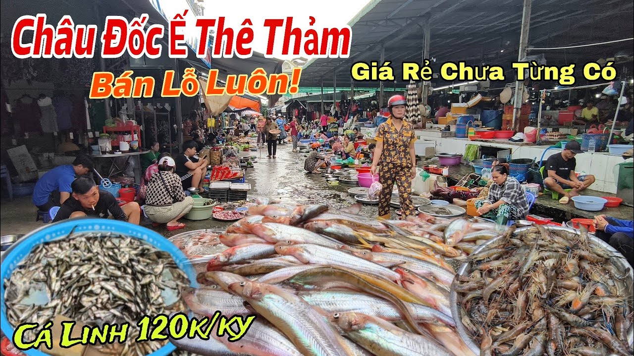 AN GIANG 👉Chợ Cá Rẻ Nhất Miền Tây - Người Dân Ngỡ Ngàng Với Giá Cá Linh Non Chỉ 120k/ký