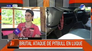 Brutal Pitbull Attack In Luque