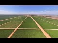 For Sale | One of the Largest &amp; Most Innovative Table Grape Enterprises in Australia, Talia Farms SA
