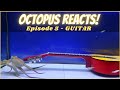 Octopus Reacts to Guitar - Episode 5