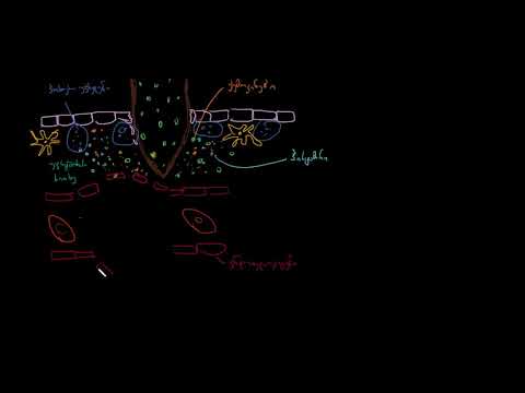 ანთებითი პასუხი