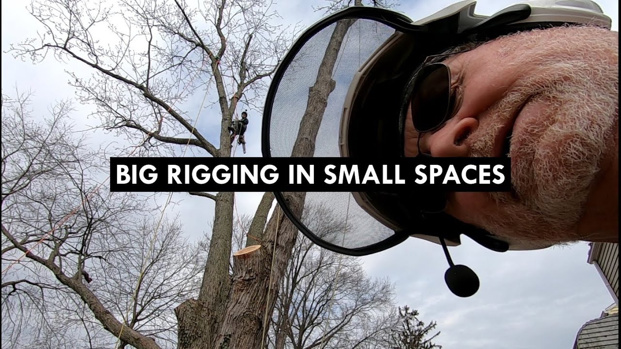 HUGE Silver Maple Tree Removal with a Lot of Rigging - YouTube