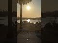 Listen to the birds &amp; enjoy tonight’s sunset walk in Fort Myers, Florida - March 28, 2023 #fortmyers