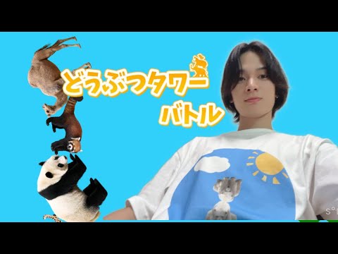 【祝修論提出】修論提出をどうぶつタワーバトルで祝う会【どうタワ】