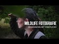 Meine Begegnung mit dem Fuchs | WILDLIFE FOTOGRAFIE mit FUJIFILM X-T4 (100-400mm)