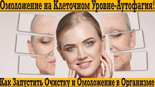 видео: Аутофагия - омоложение и очистка организма на клеточном уровне! картинка: Аутофагия - омоложение и очистка организма на клеточном уровне!
