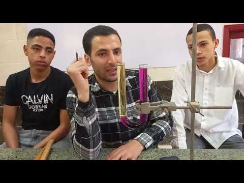 الانبوبة ذات الشعبتين