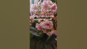 🔹️آیه ۲ سوره انفال🔹️قاری:محمد صدیق منشاوی 🔸️ترجمه فارسی از مکارم شیرازی #الله #allah #قرآن #quran