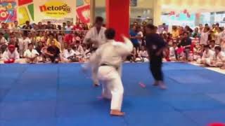 Kyokushin Karate VS Taekwondo ( Brutal Knockout)