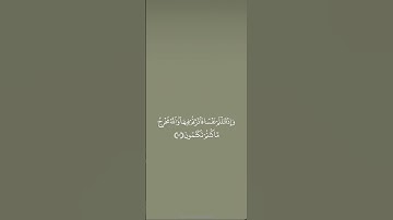 #سورة_البقرة من آية ٧١ إلى آية ٧٣ للحفظ🌿