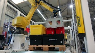 Endoline Robotics 1003 Plug & Play Robotic Palletiser with Pallet De-Stacker and Sorting Conveyor