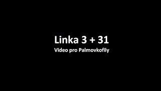 Linka 3 + 31