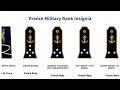 France Military Rank Insignia 