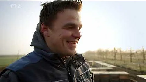 Kdo je zdrojem potravy pro včely?