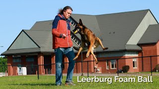 Michael Ellis Training with a Leerburg Foam Ball