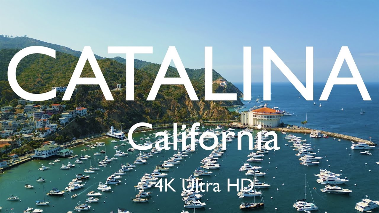 Avalon, Catalina Island, California by Drone 🇺🇸 [4K]