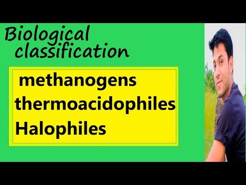 &rsquo;Lec.6 Biological classification (Hindi) Methanogens| Thermoacidophiles| Halophiles|| NEET||AIIMS