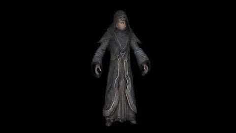 SKYRIM Clothes 3D models Rigged, not animated
