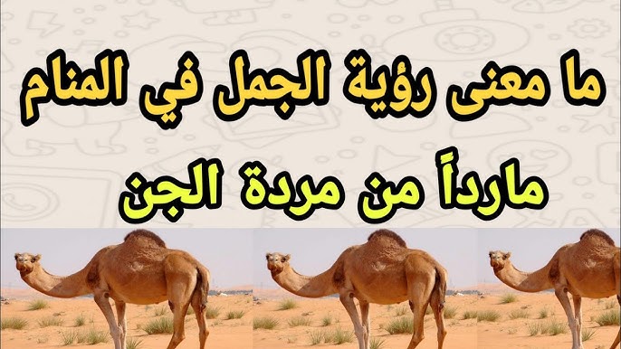 رمز الجمل في الحلم يوتيوب