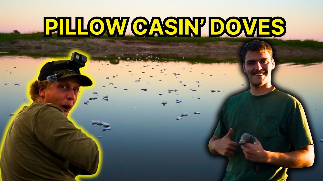 Opening Day Dove Hunt on a Cattle Pond | 2024