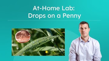 At-Home Lab: Drops on a Penny - Explore Surface Tension
